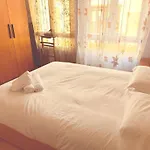 Pro 21 *